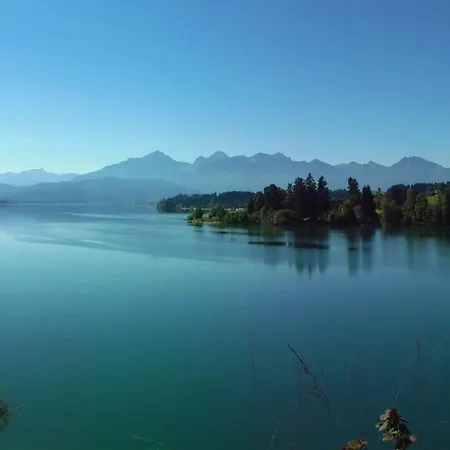 Neuschwansteinblick 121 *