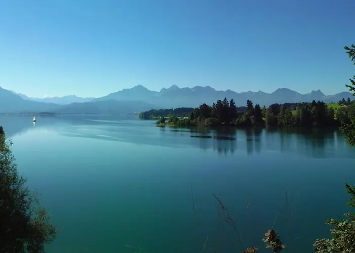 Neuschwansteinblick 121 *